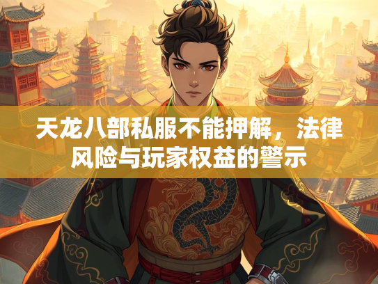 天龙八部私服不能押解，法律风险与玩家权益的警示  第1张