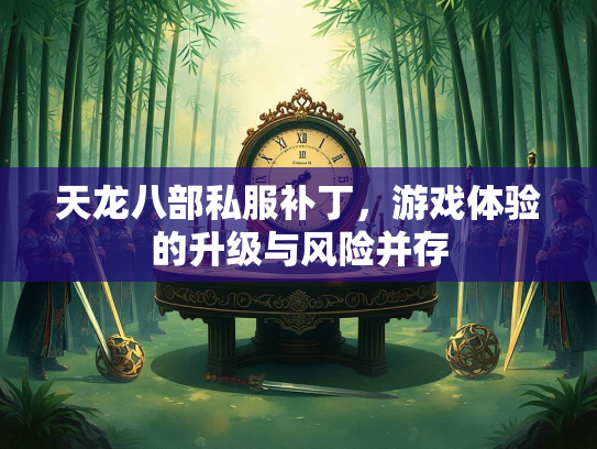 天龙八部私服补丁，游戏体验的升级与风险并存  第2张