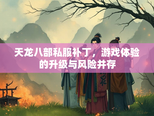 天龙八部私服补丁，游戏体验的升级与风险并存  第1张