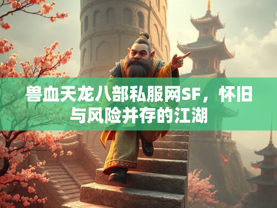 兽血天龙八部私服网SF，怀旧与风险并存的江湖  第2张