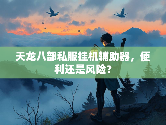 天龙八部私服挂机辅助器，便利还是风险？