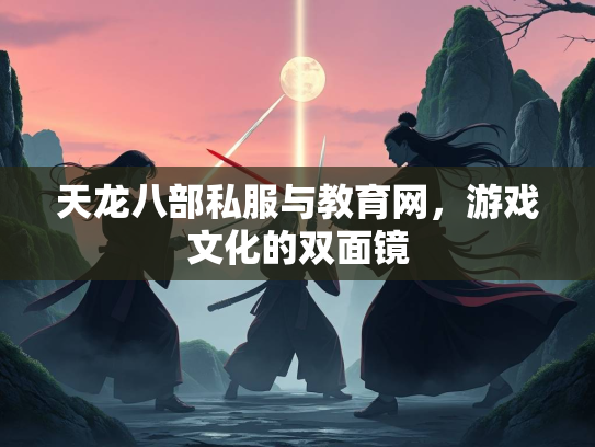 天龙八部私服与教育网，游戏文化的双面镜  第2张