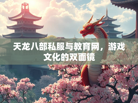 天龙八部私服与教育网，游戏文化的双面镜  第3张