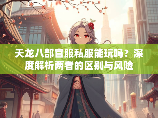 天龙八部官服私服能玩吗？深度解析两者的区别与风险  第2张