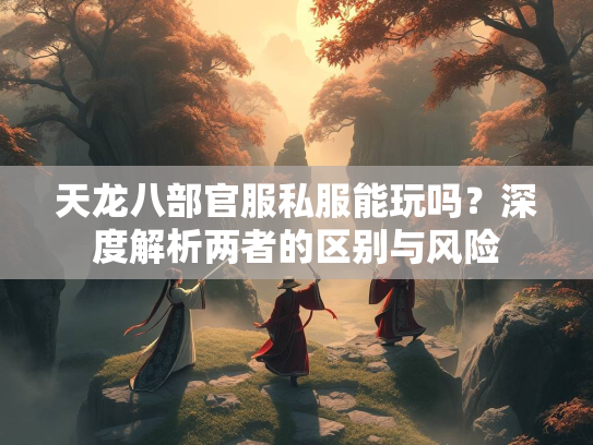天龙八部官服私服能玩吗？深度解析两者的区别与风险  第3张