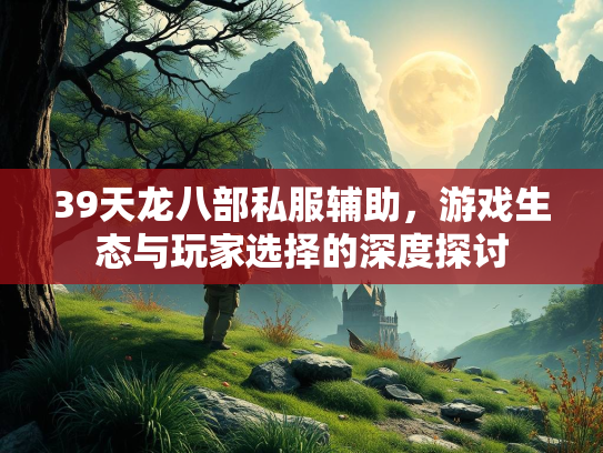 39天龙八部私服辅助，游戏生态与玩家选择的深度探讨  第2张