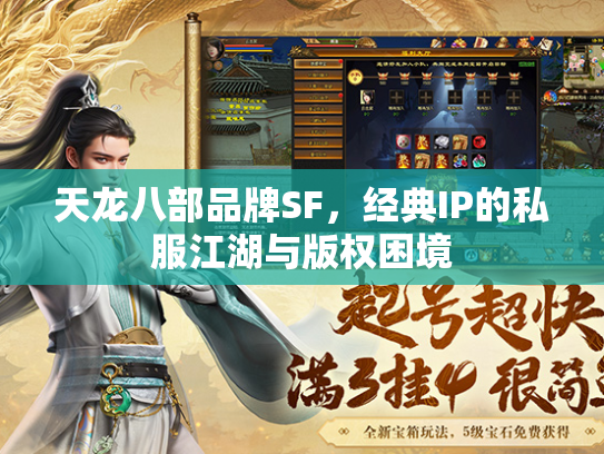 天龙八部品牌SF，经典IP的私服江湖与版权困境  第3张