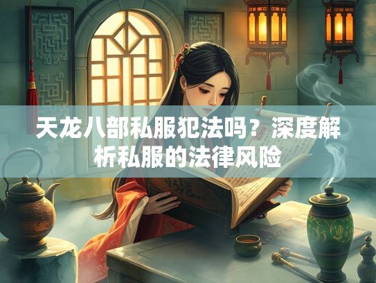 天龙八部私服犯法吗？深度解析私服的法律风险  第2张