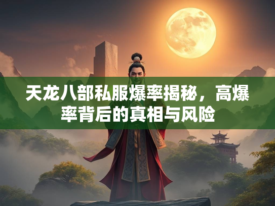 天龙八部私服爆率揭秘，高爆率背后的真相与风险  第1张