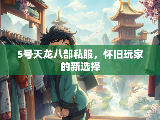 5号天龙八部私服，怀旧玩家的新选择  第3张