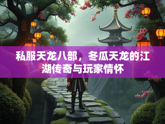 私服天龙八部，冬瓜天龙的江湖传奇与玩家情怀  第2张