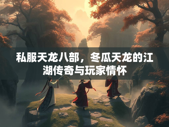 私服天龙八部，冬瓜天龙的江湖传奇与玩家情怀  第3张