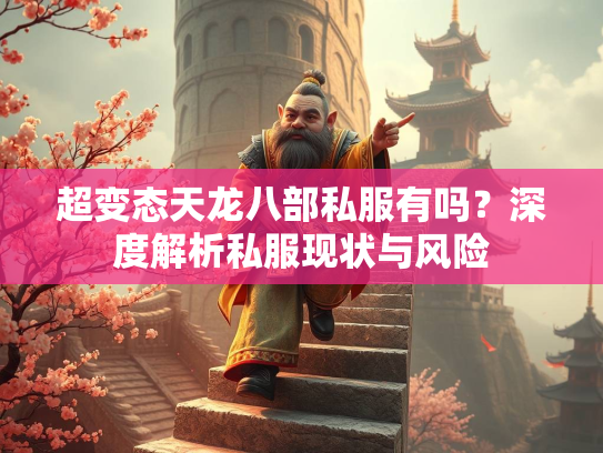 超变态天龙八部私服有吗？深度解析私服现状与风险  第3张