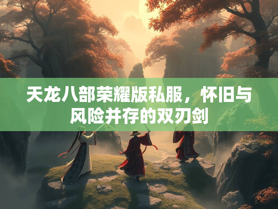 天龙八部荣耀版私服，怀旧与风险并存的双刃剑  第1张