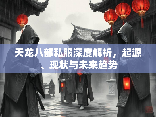 天龙八部私服深度解析，起源、现状与未来趋势  第2张