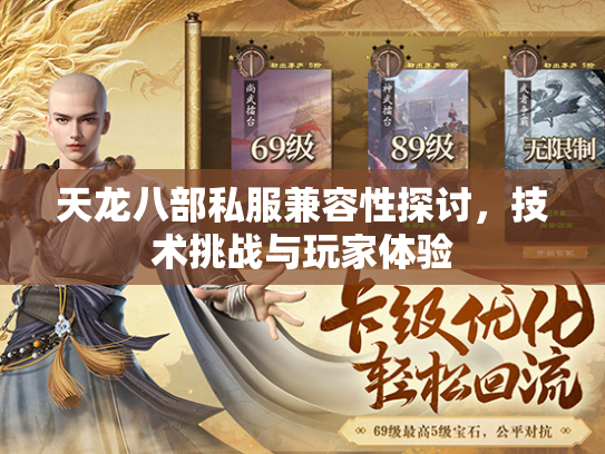 天龙八部私服兼容性探讨，技术挑战与玩家体验  第2张