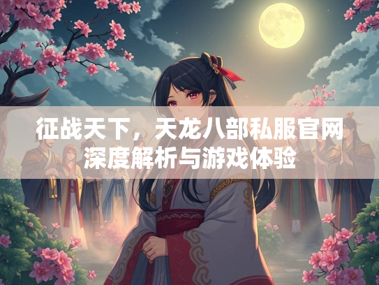 征战天下，天龙八部私服官网深度解析与游戏体验  第1张