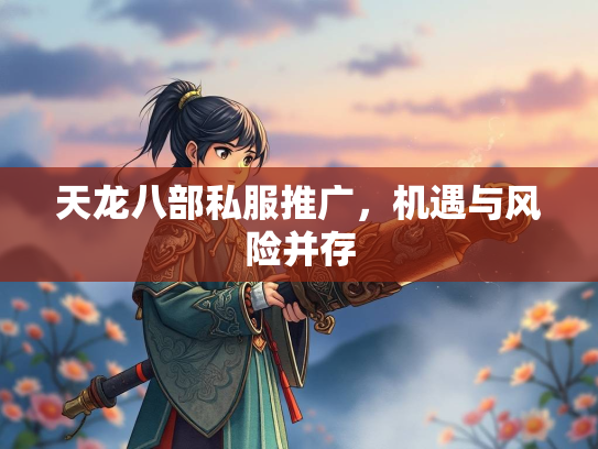 天龙八部私服推广，机遇与风险并存  第3张