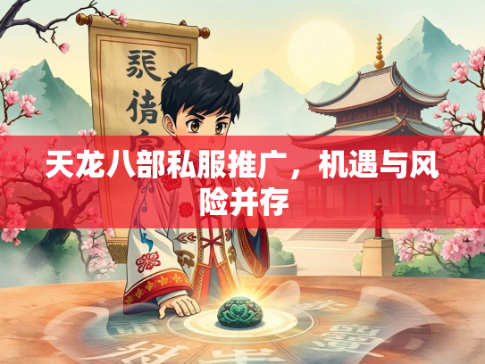 天龙八部私服推广，机遇与风险并存  第1张