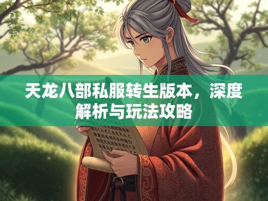 天龙八部私服转生版本，深度解析与玩法攻略  第1张