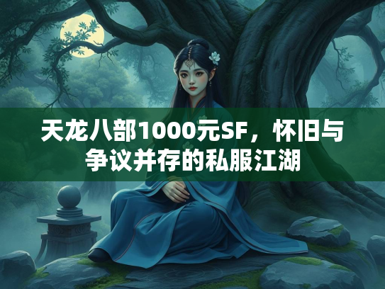 天龙八部1000元SF，怀旧与争议并存的私服江湖  第2张