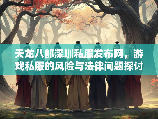 天龙八部深圳私服发布网，游戏私服的风险与法律问题探讨  第2张