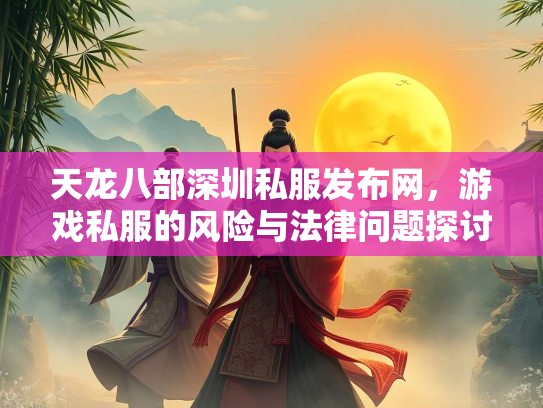 天龙八部深圳私服发布网，游戏私服的风险与法律问题探讨  第3张
