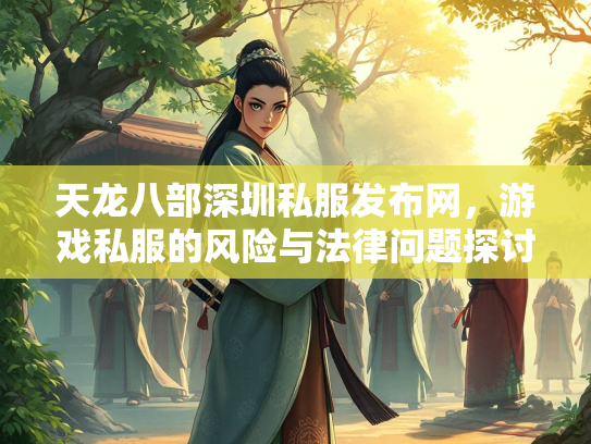 天龙八部深圳私服发布网，游戏私服的风险与法律问题探讨  第1张