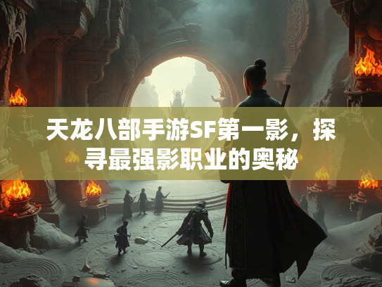 天龙八部手游SF第一影，探寻最强影职业的奥秘  第2张