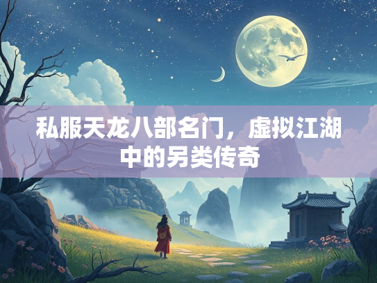 私服天龙八部名门，虚拟江湖中的另类传奇  第2张