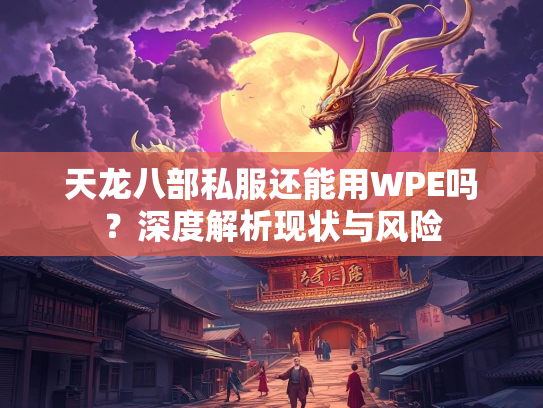 天龙八部私服还能用WPE吗？深度解析现状与风险  第2张