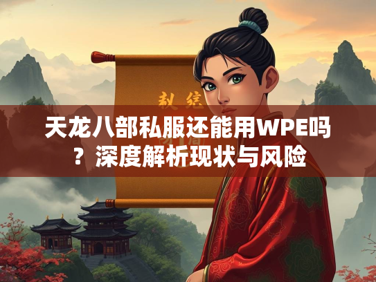 天龙八部私服还能用WPE吗？深度解析现状与风险  第3张