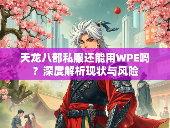 天龙八部私服还能用WPE吗？深度解析现状与风险  第1张