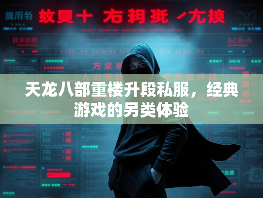 天龙八部重楼升段私服，经典游戏的另类体验  第2张
