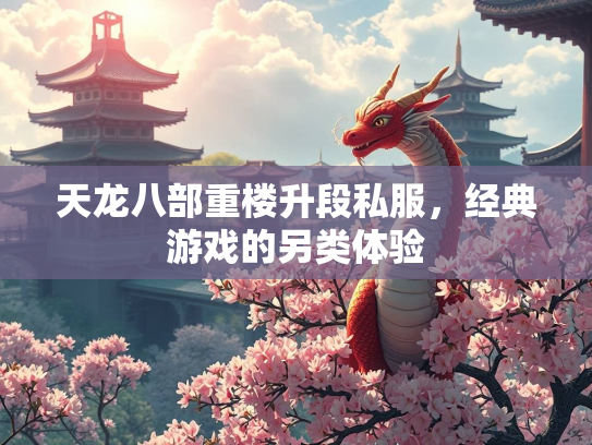天龙八部重楼升段私服，经典游戏的另类体验  第1张
