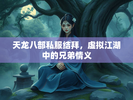 天龙八部私服结拜，虚拟江湖中的兄弟情义  第3张