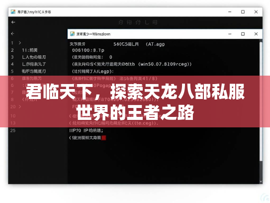 君临天下，探索天龙八部私服世界的王者之路