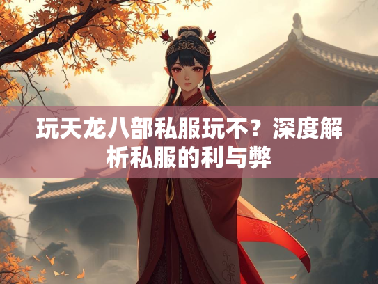 玩天龙八部私服玩不？深度解析私服的利与弊  第2张