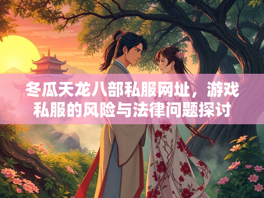 冬瓜天龙八部私服网址，游戏私服的风险与法律问题探讨  第3张
