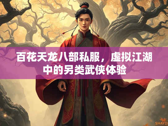 百花天龙八部私服，虚拟江湖中的另类武侠体验