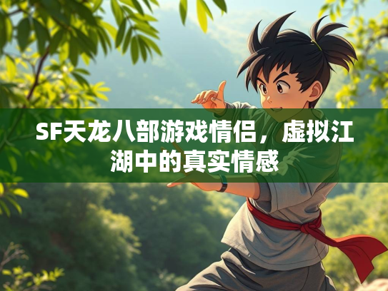SF天龙八部游戏情侣，虚拟江湖中的真实情感  第3张