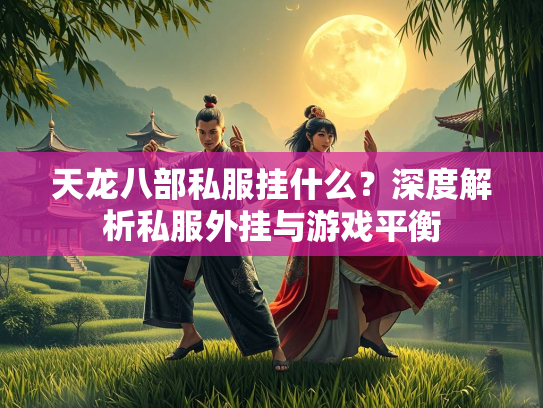 天龙八部私服挂什么？深度解析私服外挂与游戏平衡  第2张