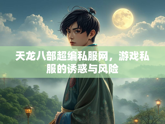 天龙八部超编私服网，游戏私服的诱惑与风险  第2张