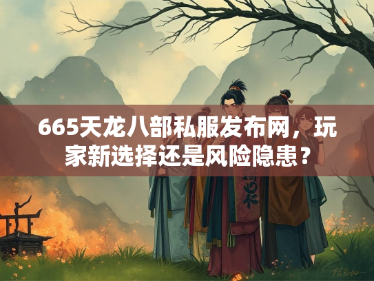 665天龙八部私服发布网，玩家新选择还是风险隐患？