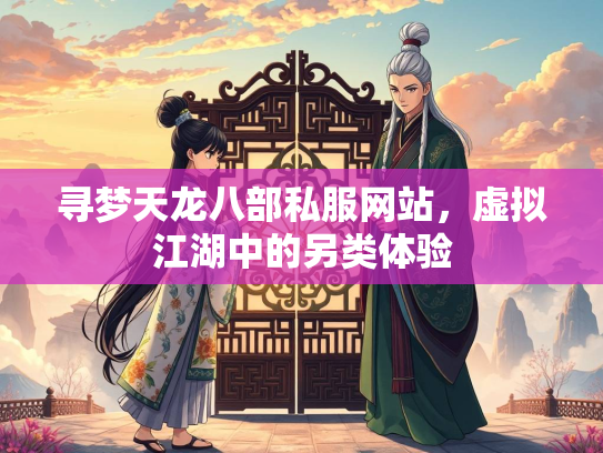 寻梦天龙八部私服网站，虚拟江湖中的另类体验  第3张