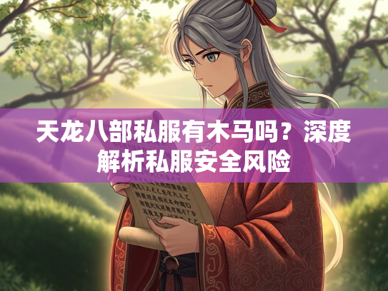 天龙八部私服有木马吗？深度解析私服安全风险  第1张