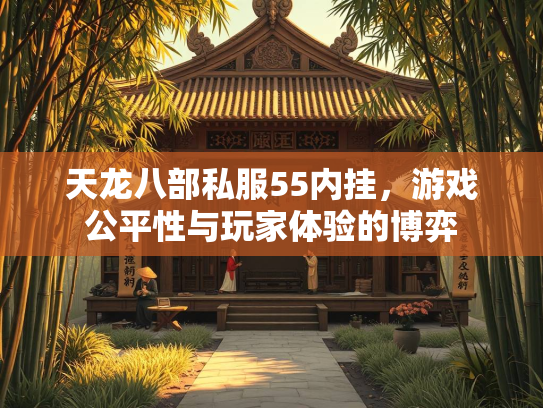 天龙八部私服55内挂，游戏公平性与玩家体验的博弈  第3张