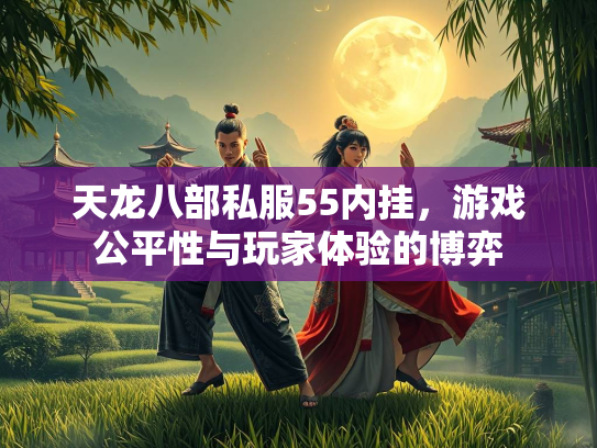 天龙八部私服55内挂，游戏公平性与玩家体验的博弈  第1张