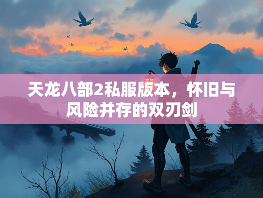 天龙八部2私服版本，怀旧与风险并存的双刃剑  第3张
