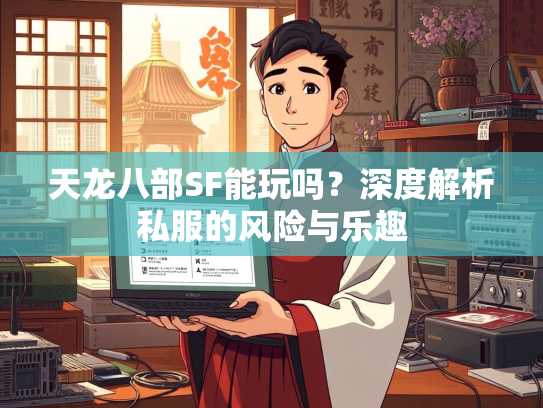 天龙八部SF能玩吗？深度解析私服的风险与乐趣  第2张